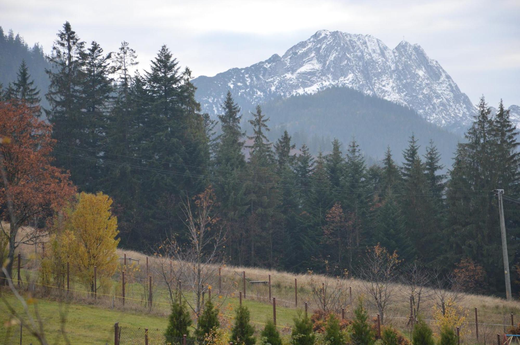 Msc Apartments Honeymoon Zakopane Værelse billede