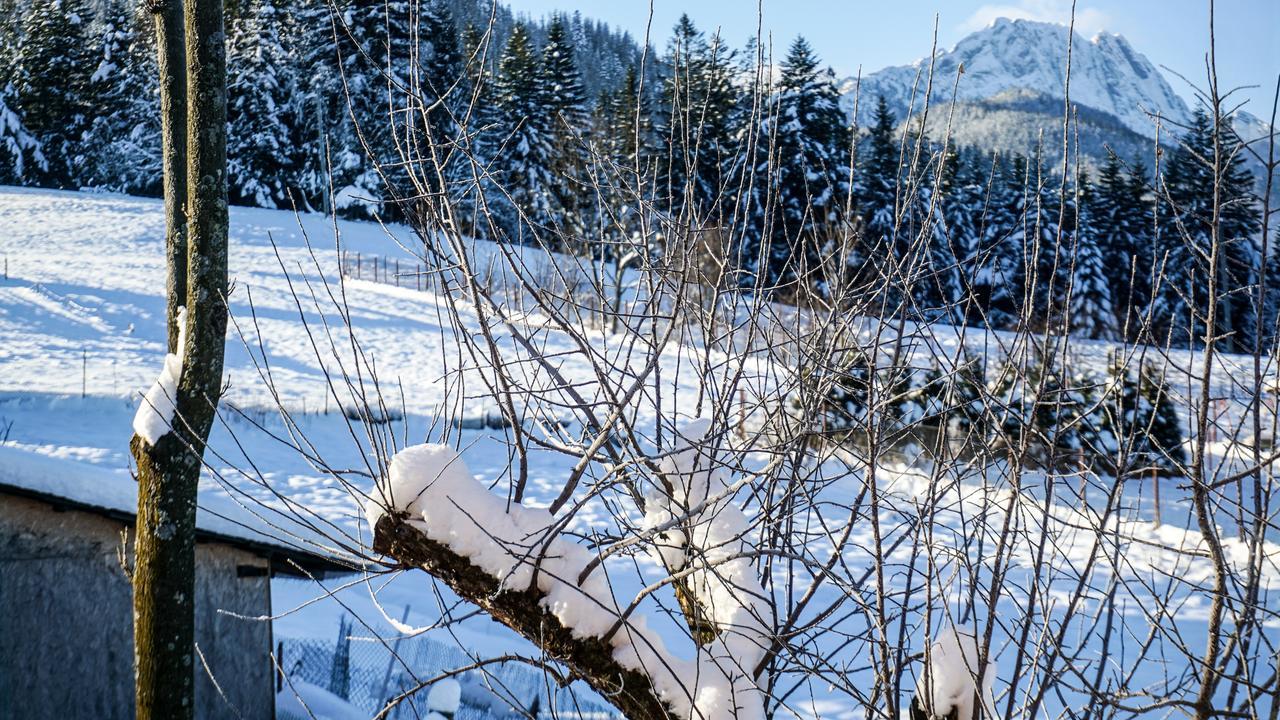 Msc Apartments Honeymoon Zakopane Eksteriør billede