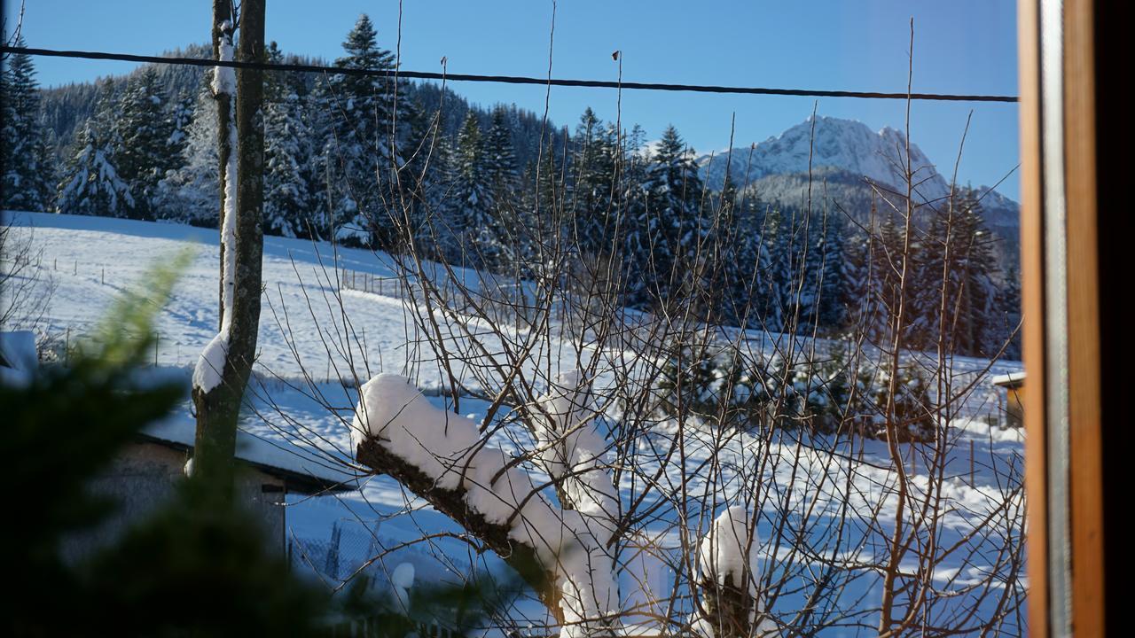 Msc Apartments Honeymoon Zakopane Eksteriør billede