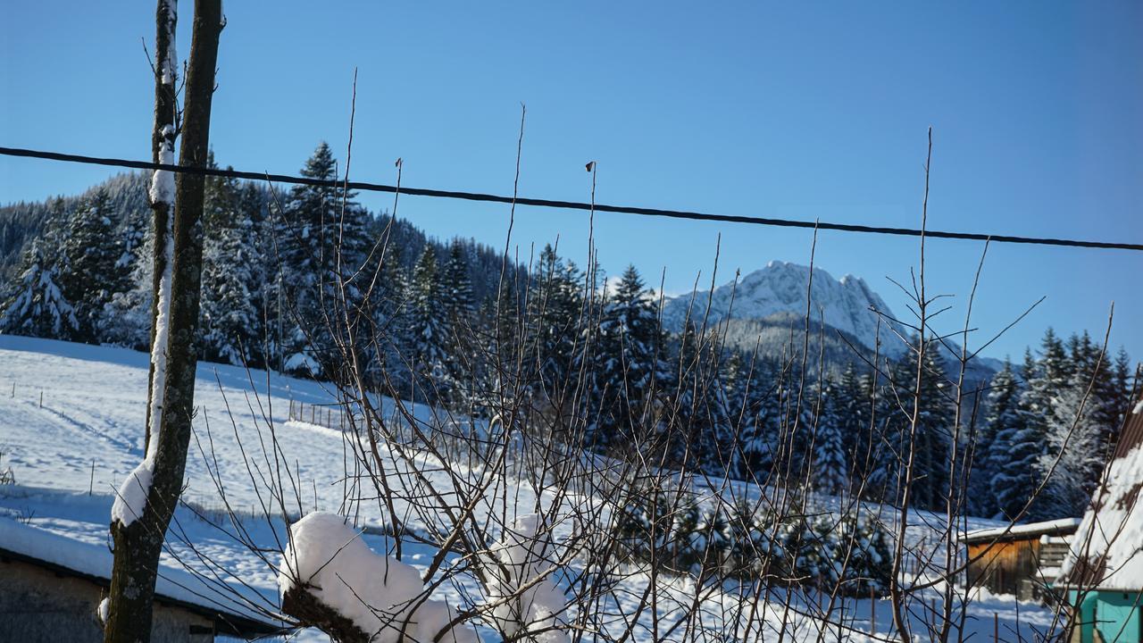 Msc Apartments Honeymoon Zakopane Eksteriør billede