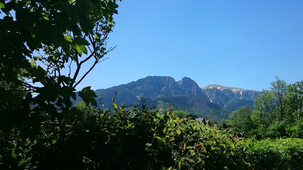 Msc Apartments Honeymoon Zakopane Eksteriør billede
